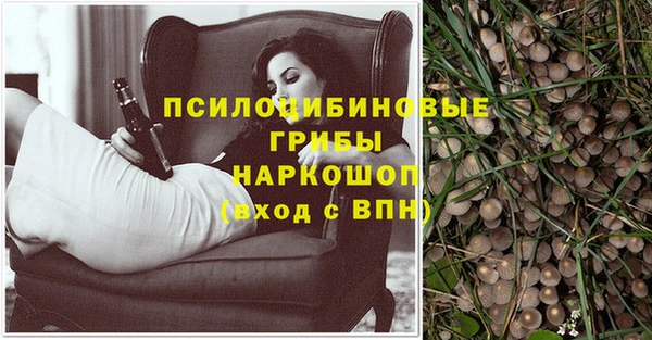 герыч Алексин