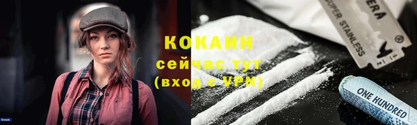 стаф Гусев