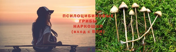 спиды Абдулино