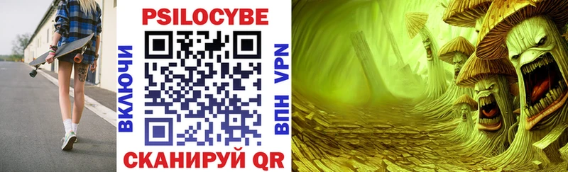 OMG вход  Туапсе  Галлюциногенные грибы Cubensis 