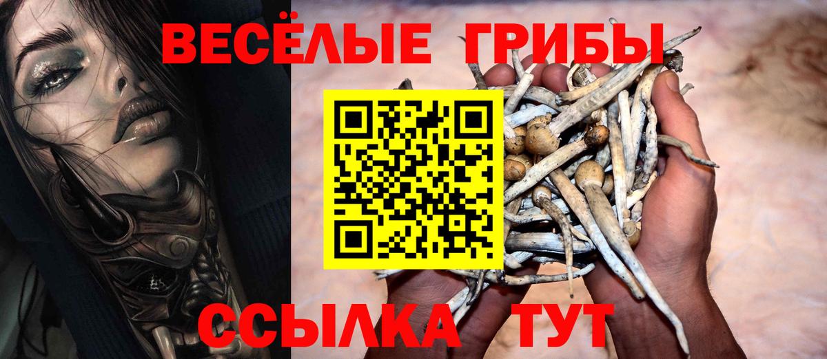 Галлюциногенные грибы Psilocybe Туапсе